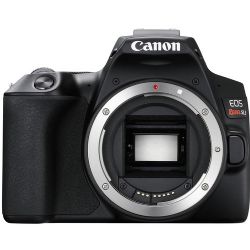 Canon EOS Rebel SL3 /250D DSLR Camera (Black, Body Only)